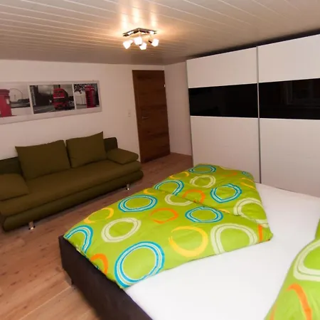 Alpenblick Guest house *